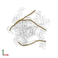 V-type proton ATPase subunit G in PDB entry 7uzj, assembly 1, front view.