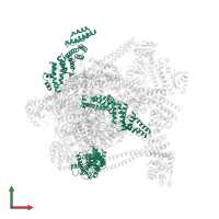 Type IV secretion protein Dot in PDB entry 7uzj, assembly 1, front view.