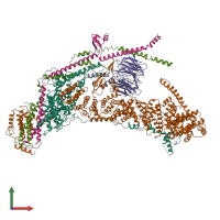 Hetero pentameric assembly 1 of PDB entry 7v2w coloured by chemically distinct molecules, front view.