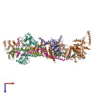 Hetero pentameric assembly 1 of PDB entry 7v2w coloured by chemically distinct molecules, top view.