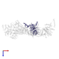 Protein TEX1 in PDB entry 7v2w, assembly 1, top view.