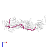 THO complex subunit MFT1 in PDB entry 7v2w, assembly 1, top view.