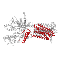 The deposited structure of PDB entry 7v6y contains 1 copy of Pfam domain PF02460 (Patched family) in Protein patched homolog 1. Showing 1 copy in chain A.