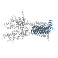 The deposited structure of PDB entry 7v6y contains 1 copy of Pfam domain PF12349 (Sterol-sensing domain of SREBP cleavage-activation) in Protein patched homolog 1. Showing 1 copy in chain A.