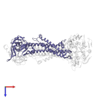 Lipoprotein-releasing system transmembrane protein LolC in PDB entry 7v8l, assembly 1, top view.