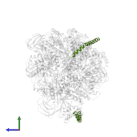 V-type ATP synthase, subunit (VAPC-THERM) in PDB entry 7vai, assembly 1, side view.