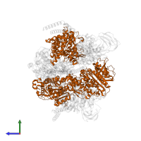 V-type ATP synthase beta chain in PDB entry 7van, assembly 1, side view.