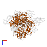 V-type ATP synthase beta chain in PDB entry 7vb0, assembly 1, top view.