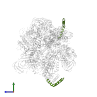 V-type ATP synthase, subunit (VAPC-THERM) in PDB entry 7vb0, assembly 1, side view.