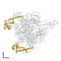 V-type ATP synthase subunit E in PDB entry 7vb0, assembly 1, front view.