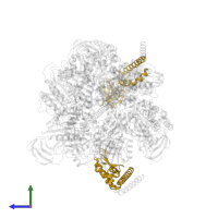 V-type ATP synthase subunit E in PDB entry 7vb0, assembly 1, side view.