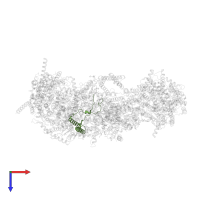 NADH dehydrogenase [ubiquinone] 1 beta subcomplex subunit 11, mitochondrial in PDB entry 7vbp, assembly 1, top view.