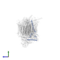 NADH dehydrogenase [ubiquinone] 1 beta subcomplex subunit 4 in PDB entry 7vbp, assembly 1, side view.