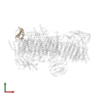 NADH dehydrogenase [ubiquinone] 1 beta subcomplex subunit 7 in PDB entry 7vbp, assembly 1, front view.