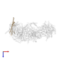 NADH dehydrogenase [ubiquinone] 1 beta subcomplex subunit 7 in PDB entry 7vbp, assembly 1, top view.