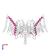 Mitochondrial import receptor subunit TOM7 homolog in PDB entry 7vby, assembly 1, top view.