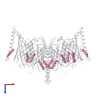 UNDECANE in PDB entry 7vby, assembly 1, top view.