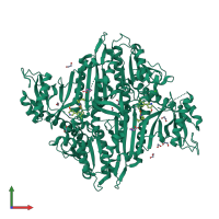 Homo dimeric assembly 1 of PDB entry 7vc2 coloured by chemically distinct molecules, front view.