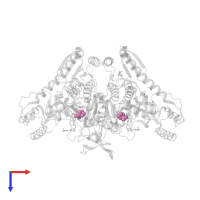PROLINE in PDB entry 7vc2, assembly 1, top view.
