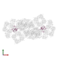 Fcpb5, Fucoxanthin chlorophyll a/c-binding protein in PDB entry 7vd5, assembly 1, front view.