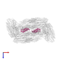 Phycobilisome core component in PDB entry 7vea, assembly 1, top view.