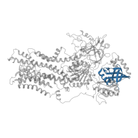 The deposited structure of PDB entry 7vgh contains 1 copy of Pfam domain PF13246 (Cation transport ATPase (P-type)) in Phospholipid-transporting ATPase IC. Showing 1 copy in chain B.