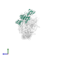 DNA-directed RNA polymerase subunit alpha in PDB entry 7vpz, assembly 1, side view.