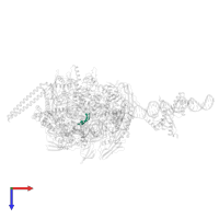 RNA in PDB entry 7vpz, assembly 1, top view.