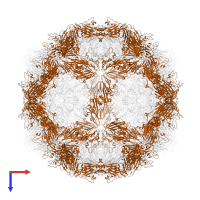 Capsid protein VP2 in PDB entry 7vxh, assembly 1, top view.