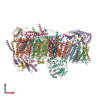 PDB entry 7vy1 coloured by chain, front view.