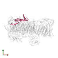 NADH dehydrogenase [ubiquinone] 1 beta subcomplex subunit 10 in PDB entry 7vy1, assembly 1, front view.