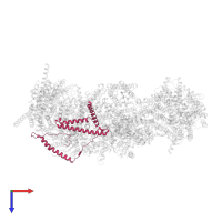 NADH dehydrogenase [ubiquinone] 1 beta subcomplex subunit 10 in PDB entry 7vy1, assembly 1, top view.