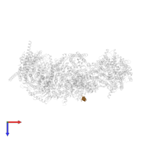NADH dehydrogenase [ubiquinone] 1 subunit C1, mitochondrial in PDB entry 7vy1, assembly 1, top view.