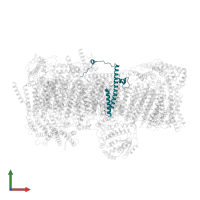 NADH dehydrogenase [ubiquinone] 1 subunit C2 in PDB entry 7vy1, assembly 1, front view.