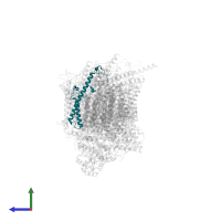 NADH dehydrogenase [ubiquinone] 1 subunit C2 in PDB entry 7vy1, assembly 1, side view.