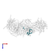 NADH dehydrogenase [ubiquinone] 1 subunit C2 in PDB entry 7vy1, assembly 1, top view.