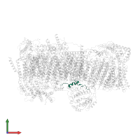 NADH dehydrogenase [ubiquinone] iron-sulfur protein 2, mitochondrial in PDB entry 7vy1, assembly 1, front view.