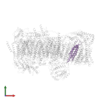NADH-ubiquinone oxidoreductase chain 6 in PDB entry 7vy1, assembly 1, front view.