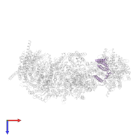 NADH-ubiquinone oxidoreductase chain 6 in PDB entry 7vy1, assembly 1, top view.
