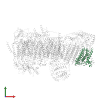 NADH-ubiquinone oxidoreductase chain 1 in PDB entry 7vy1, assembly 1, front view.