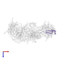 NADH dehydrogenase [ubiquinone] 1 alpha subcomplex subunit 8 in PDB entry 7vy1, assembly 1, top view.