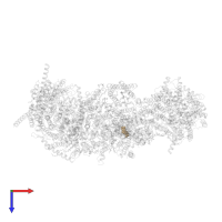 ADENOSINE-5'-DIPHOSPHATE in PDB entry 7vy1, assembly 1, top view.