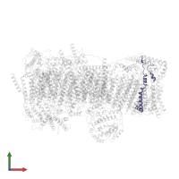 NADH dehydrogenase [ubiquinone] 1 alpha subcomplex subunit 3 in PDB entry 7vy1, assembly 1, front view.