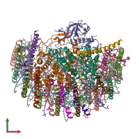 PDB entry 7vy3 coloured by chain, front view.