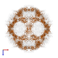 Capsid protein VP2 in PDB entry 7vy6, assembly 1, top view.