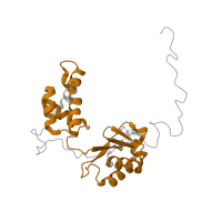 The deposited structure of PDB entry 7vya contains 1 copy of Pfam domain PF01257 (Thioredoxin-like [2Fe-2S] ferredoxin) in NADH dehydrogenase [ubiquinone] flavoprotein 2, mitochondrial. Showing 1 copy in chain N [auth O].