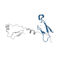 The deposited structure of PDB entry 7vya contains 1 copy of Pfam domain PF10276 (Zinc-finger domain) in NADH dehydrogenase [ubiquinone] iron-sulfur protein 6, mitochondrial. Showing 1 copy in chain Q [auth T].