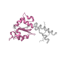 The deposited structure of PDB entry 7vya contains 1 copy of Pfam domain PF01058 (NADH ubiquinone oxidoreductase, 20 Kd subunit) in NADH dehydrogenase [ubiquinone] iron-sulfur protein 7, mitochondrial. Showing 1 copy in chain C.