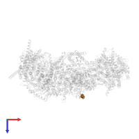 NADH dehydrogenase [ubiquinone] 1 subunit C1, mitochondrial in PDB entry 7vye, assembly 1, top view.