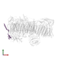 NADH-ubiquinone oxidoreductase B12 subunit in PDB entry 7vye, assembly 1, front view.